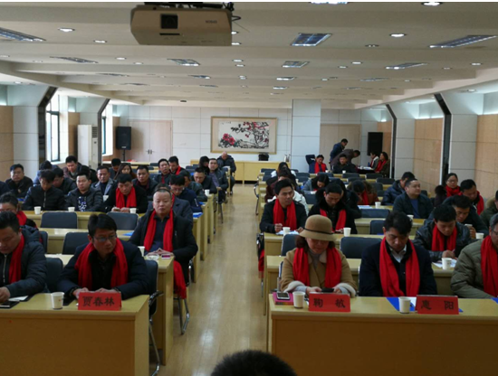 武汉建设安全协会召开2017年度 起重机械设备分会、附着式升降脚手架、机械设备检测专业工作委员会总结大会