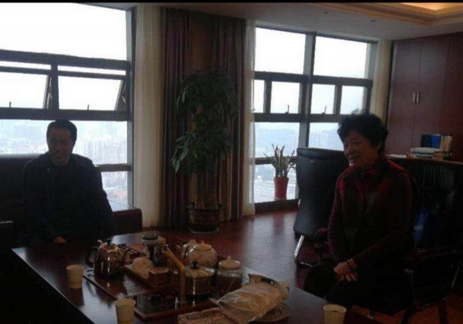 协会组织到会员企业调研