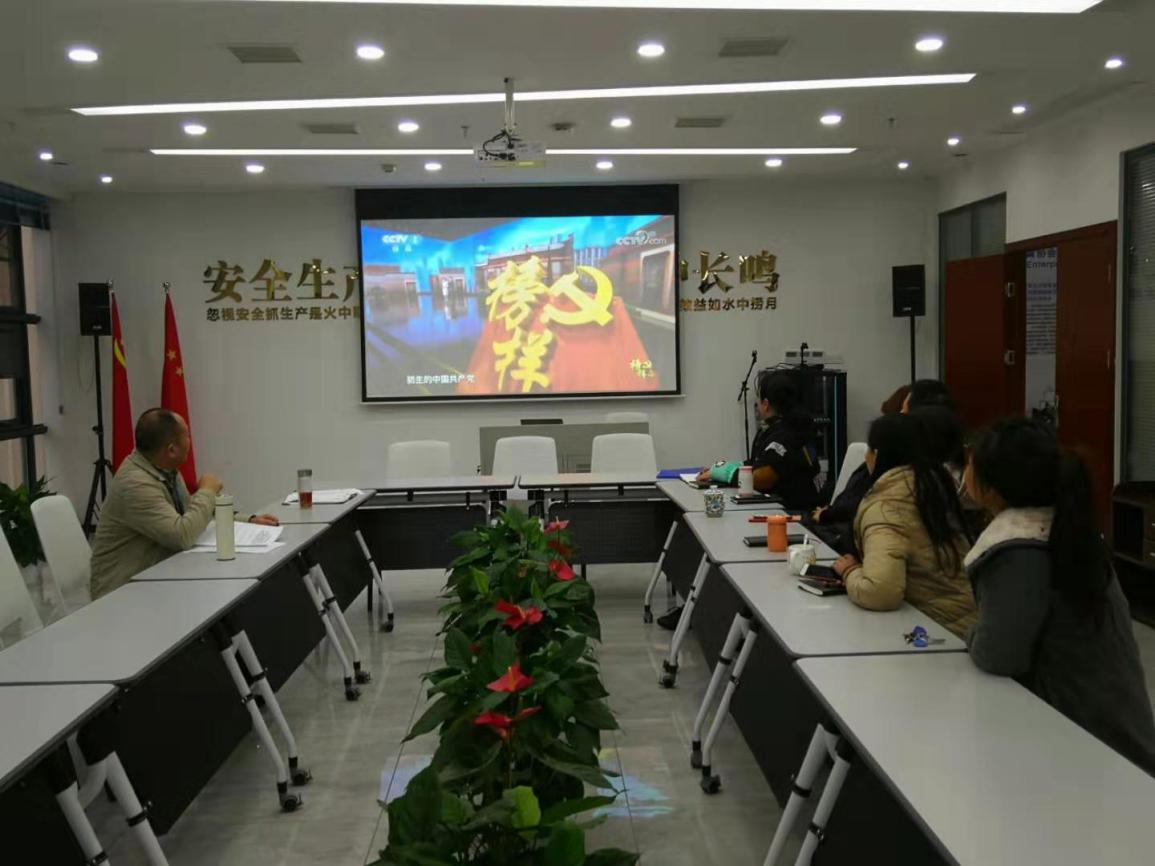 协会开展11月“支部(扩大)主题党日+”活动