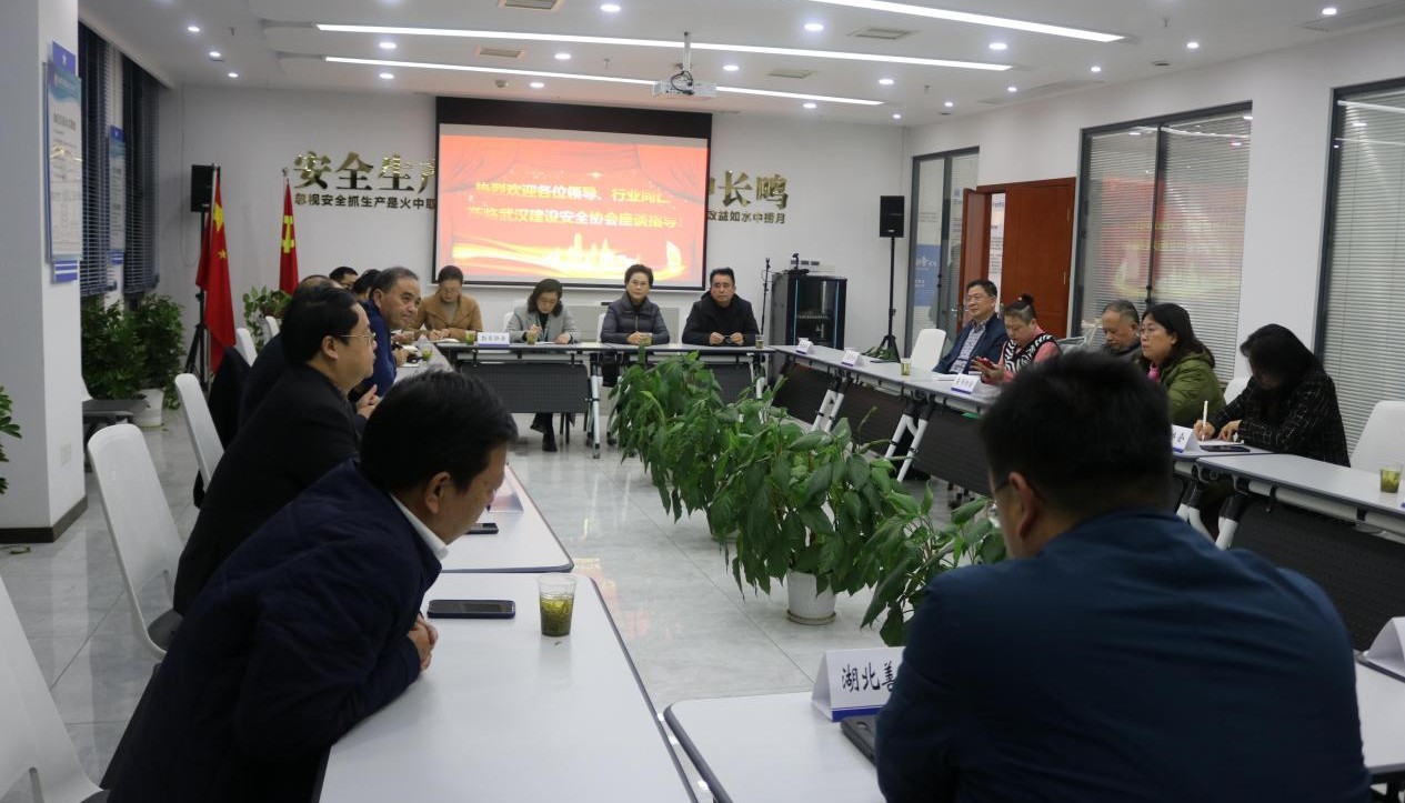 武汉建设安全协会举行我市建设行业协会座谈会
