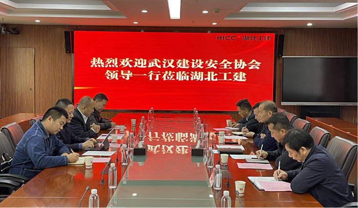 协会到湖北工建、大桥局七公司调研