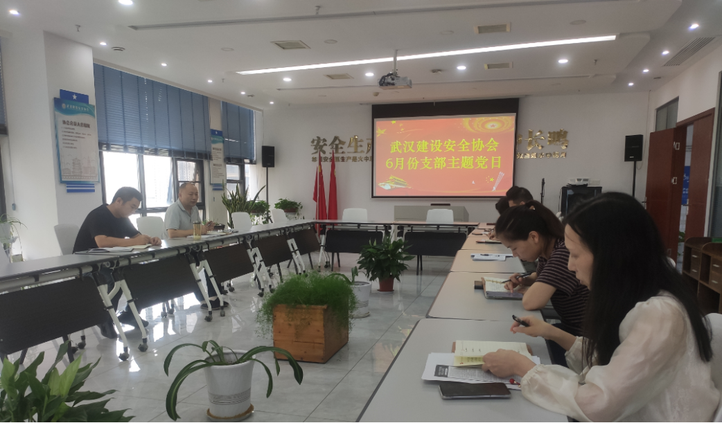 践行正确政绩观  全力冲刺“双过半”——协会开展6月支部（扩大）主题党日活动